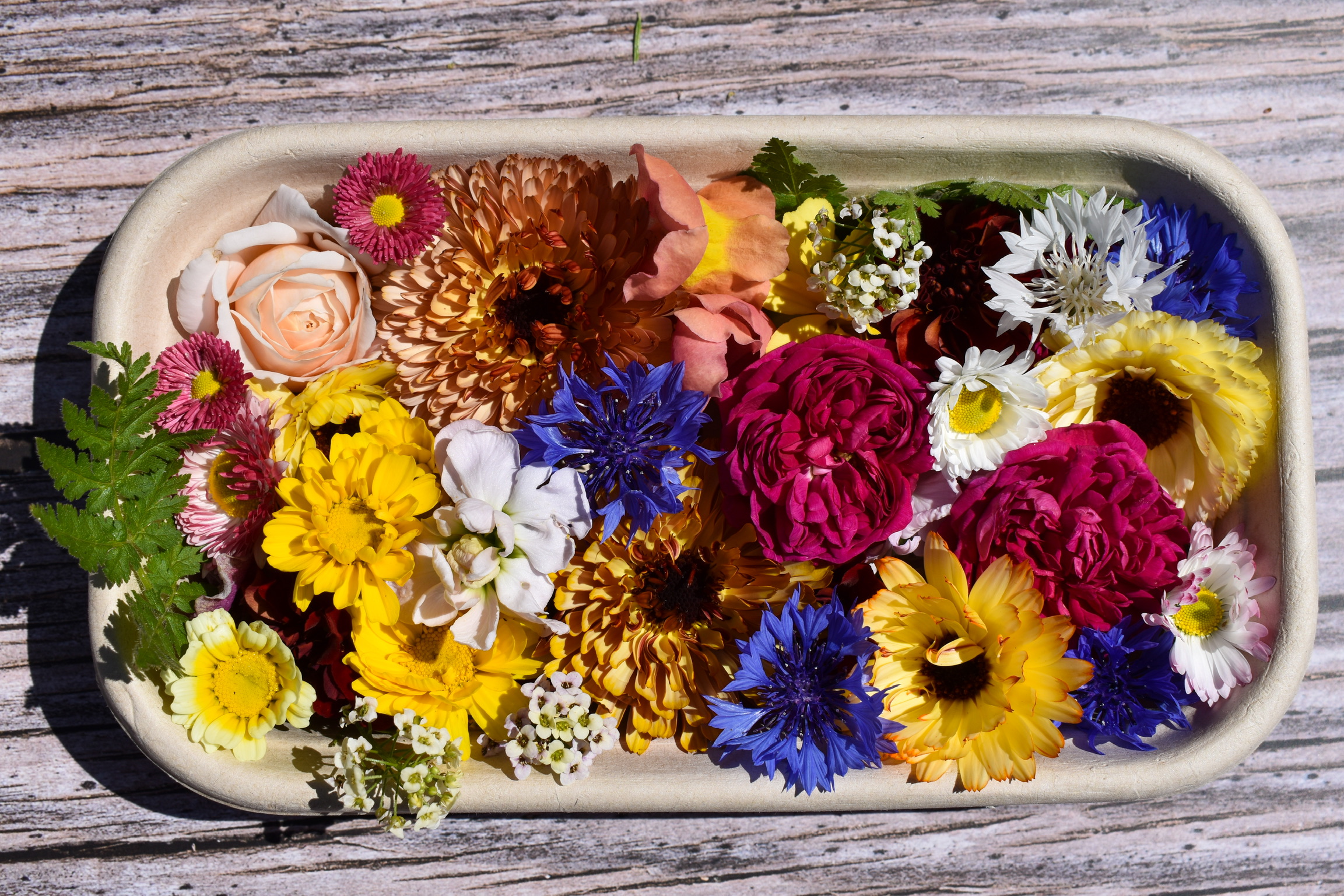 Edible Flowers for Sweet Dishes