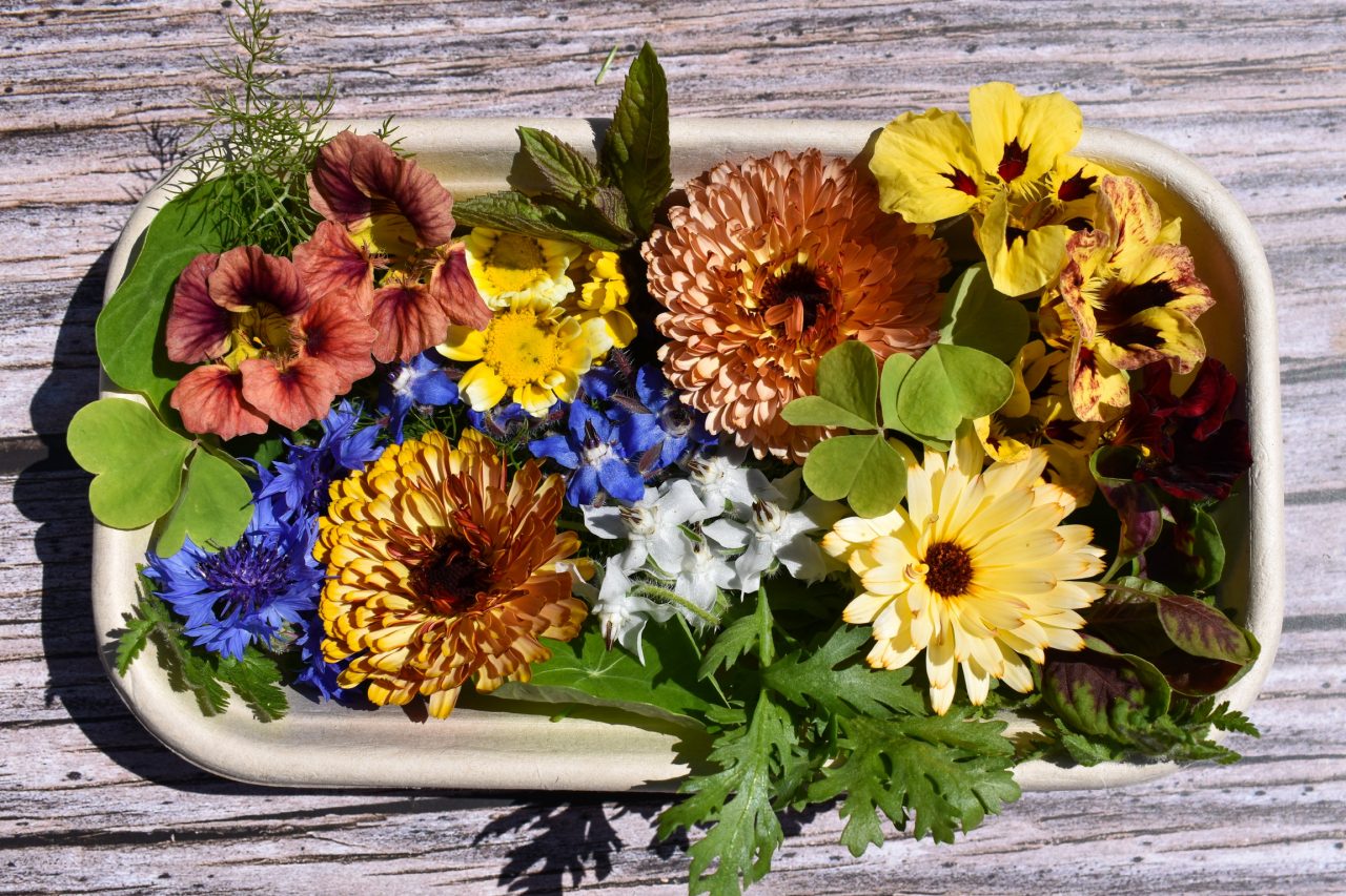Yorkshire Edible Flowers UK Where to Buy Edible Flowers