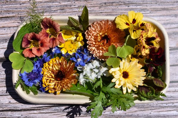 Edible Flowers for Savoury Dishes