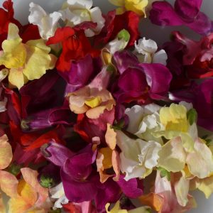 Make your own edible pressed flowers from fresh flowers