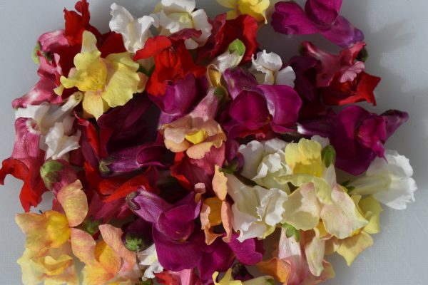 Make your own edible pressed flowers from fresh flowers